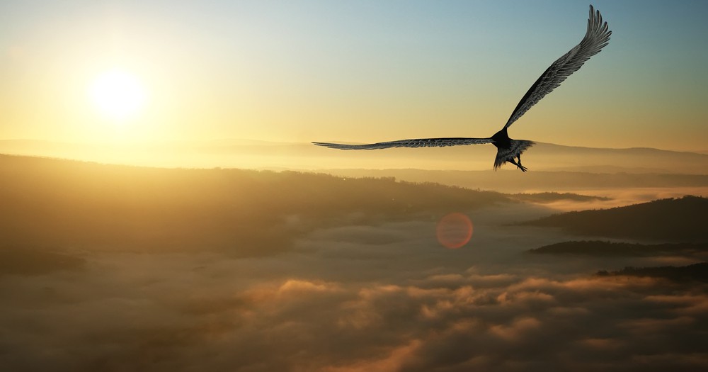 Lebensberatung: Foto: © Juanjo Tugores / shutterstock / #214291021 Lebensberatung: Foto: © Juanjo Tugores / shutterstock / #214291021